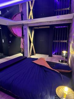 Le studio secret - Saint-Dié-des-Vosges - 1