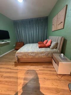 ManoStone 1BHK - 9