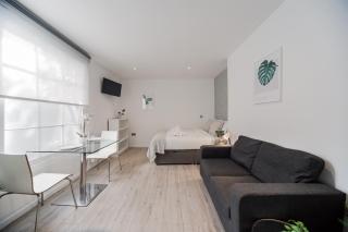 Prime Vision Living Studios - Hyde Park - Londres - 1