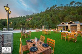 Kasauli Skyline I 2 BHK With Jacuzzi - Kasauli - 6