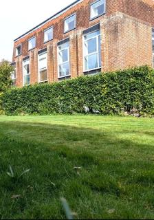 Cathedral View, Spacious City Centre, One Bedroom Flat - Chichester Holiday Properties - Chichester - 2