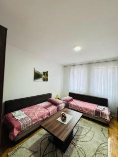 Apartment Milos - Plužine - 7