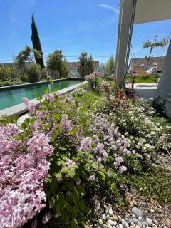 SeeSucht-Apartment No86 mit Terrassen, Sauna & Pool - Bodman-Ludwigshafen - 7