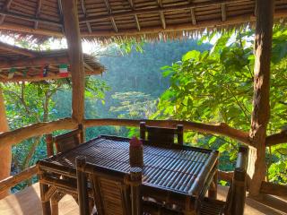 TheJungleGuide - Lodges & Treks - Bukit Lawang - 5