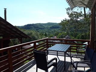 Cabana Elena - Private SPA - Brădetu - 6