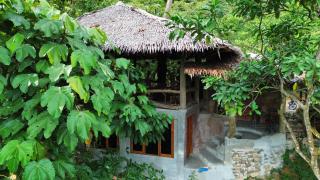TheJungleGuide - Lodges & Treks - Bukit Lawang - 3