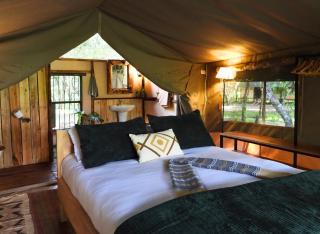 Tor's Camp - Masai Mara - 9
