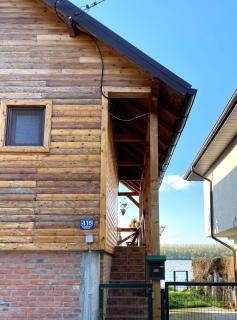 Bird of Paradise - Belgrado - 7