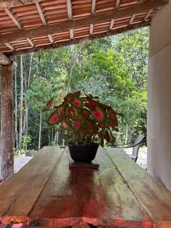 Recanto da prima Vera - Manaus - 4