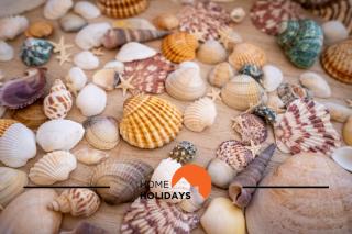 #256 Sea & Sun View by Home Holidays - Portimão - 1