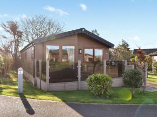 Beagle Lodge - Runswick - 0