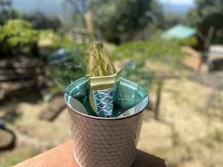 Wonderful Retro Trailer for Getaways near Yosemite - Oakhurst - 0