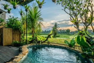 The Queen Bamboo Ubud - 2