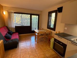 Studio calme à Samoëns avec terrasse, parking et coin cuisine - FR-1-629-30 - Samoëns - 8