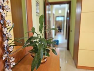 GEARD Apartament - 5