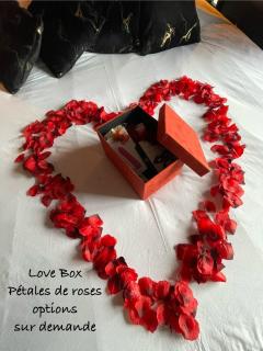 RoomAndX-LoveRoom-Caen-Bayeux - Le Fresne-Camilly - 8