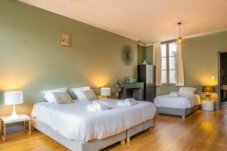Magnifique Appartement en Hypercentre avec Parking - Bordeaux - 5