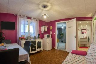 Appartement charmant à Saint-Victor-de-Cessieu - 30 m² - Terrasse - 8
