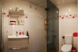 Appartement charmant à Saint-Victor-de-Cessieu - 30 m² - Terrasse - Saint-Victor-de-Cessieu - 1