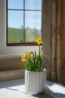 Pardon Hill Farm B&B - 2