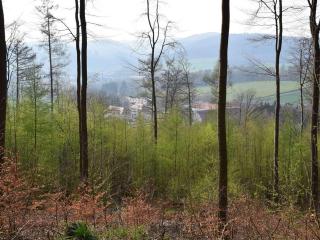 Torhaus Schloss Wocklum - Balve - 3