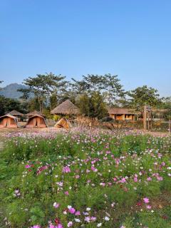 Camping And Resort Vongxay - - 4