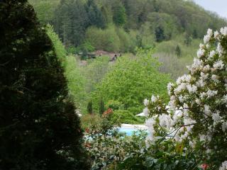 Ferienhaus Straubehof - Sasbachwalden - 2