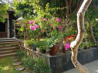 Casavina house - Canggu - 1
