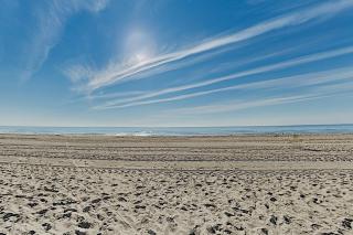 9400 bldg unit 807 - Ocean City - 8