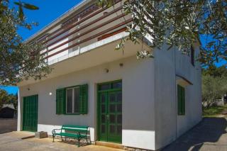 Apartmani Messa - Ždrelac - 2