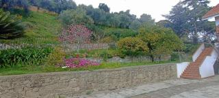 Casa IL GLICINE - Camporosso - 9