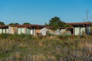 Garden Suites - Burgh Haamstede - 6