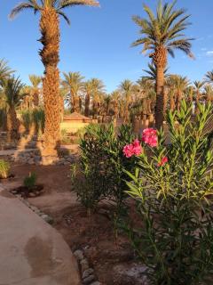 Jardin 128 Écolodge - Zagora - 8