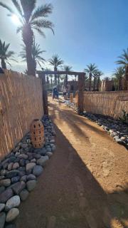 Jardin 128 Écolodge - Zagora - 9