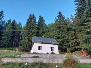 The House Next to the Forest - LAKMAT - Nové Hamry - 9