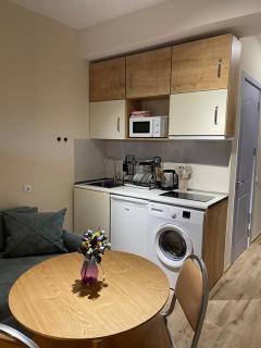 Bakuriani apartment - 0