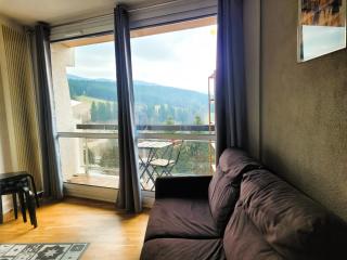 STUDIO plein sud "Les Arolles" Balcon de VILLARD DE LANS - Villard-de-Lans - 7