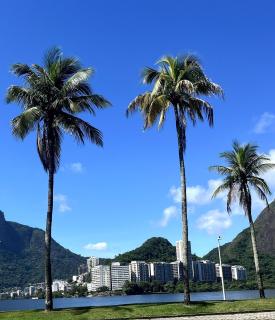 Studio Leblon com piscina e academia NOVO - Rio de Janeiro - 2