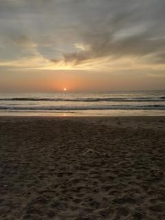 Jusula Beach Bungalows, Sanyang Beach, Free Wifi - 4