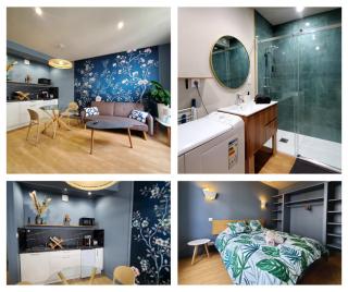 Saint Jean - La Rivière- T2 tout neuf - 0