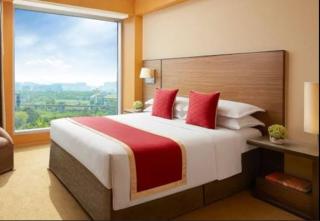 Radiant hotel,andheri east terminal 1,2 - Mumbai - 8