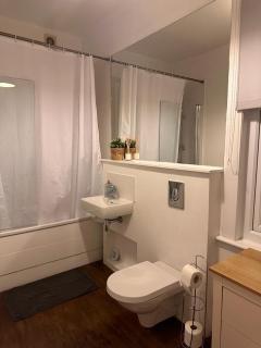 Bright and spacious 2 bed flat - Londra - 3