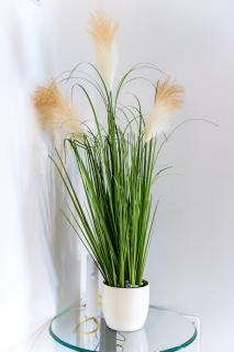 Apartament nou de 3,Stele Maria Parking coffee free - 4