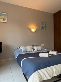 Appartement Les vagues dorées - Résidence Kiwi - 1