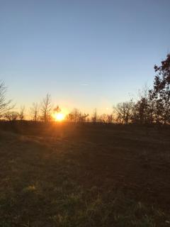 Au combe de canet - 5