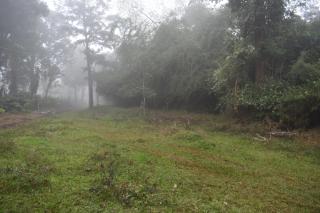 Green Heaven Kuruva Wayanad - Chekadi - 9