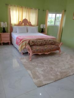 Cozy Villa- 4 bedroom St Ann - 2