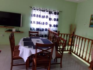 Cozy Villa- 4 bedroom St Ann - 1