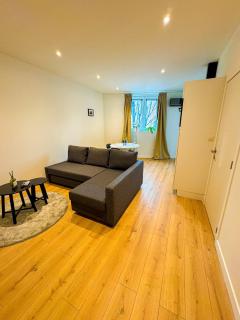 Lovely 1BR & 1LR Apt for 4P, Only 15 Min Walk to City Center - Gand - 8
