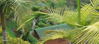 Entre Colinas Lodge - 8